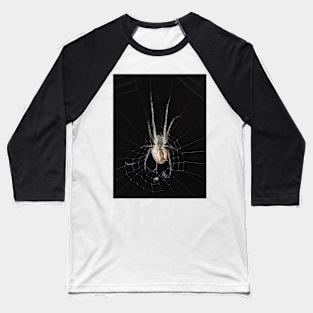 Spider identified as Araneus diadematus Baseball T-Shirt